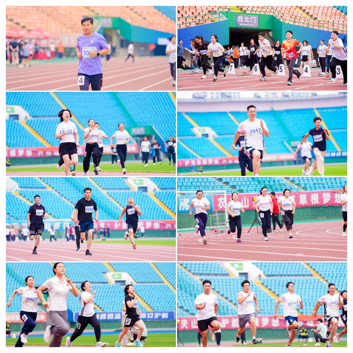 未命名.jpg